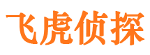 佛山出轨调查